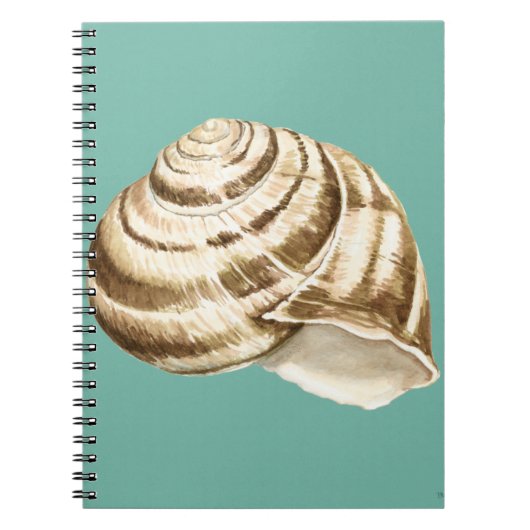 Sepia Striped Shell op Blauwgroen Notitieboek (Voorkant)