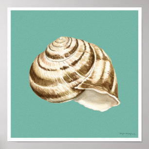 Sepia Striped Shell op Blauwgroen Poster