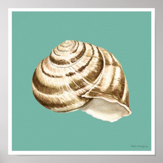 Sepia Striped Shell op Blauwgroen Poster (Voorkant)