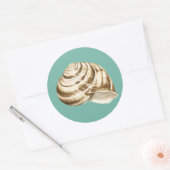 Sepia Striped Shell op Blauwgroen Ronde Sticker (Envelop)