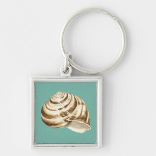 Sepia Striped Shell op Blauwgroen Sleutelhanger