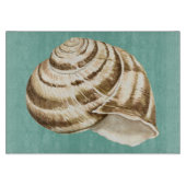 Sepia Striped Shell op Blauwgroen Snijplank (Voorkant)