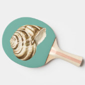 Sepia Striped Shell op Blauwgroen Tafeltennisbatje (Zijkant)