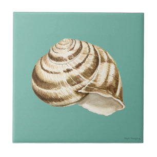 Sepia Striped Shell op Blauwgroen Tegeltje
