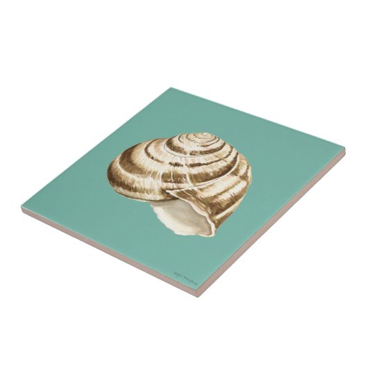 Sepia Striped Shell op Blauwgroen Tegeltje (Zijkant)