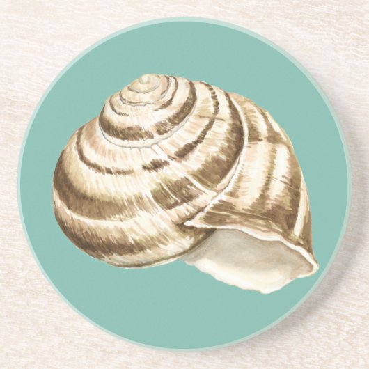 Sepia Striped Shell op Blauwgroen Zandsteen Onderzetter (Voorkant)