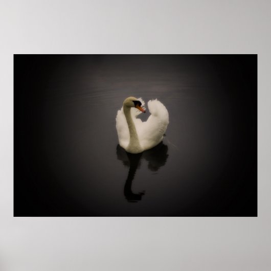 Sepia Swan print (Voorkant)
