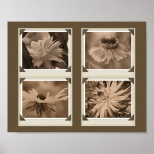 Sepia Tint Flowers Collage Natuur Poster