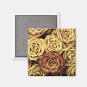 Sepia Tinted Rozen Magneet (Voorkant / Achterkant)