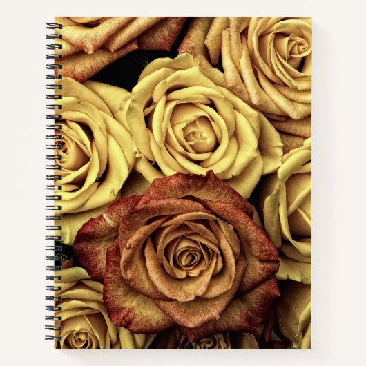 Sepia Tinted Rozen Notitieboek (Voorkant)
