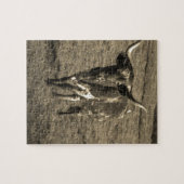 Sepia Tone Brown and White Longhorn Bull Legpuzzel (Horizontaal)