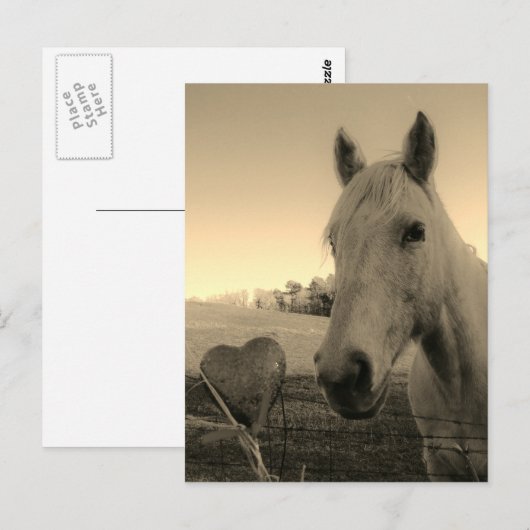 Sepia tone Brown Horse & Heart Briefkaart (Voorkant / Achterkant)