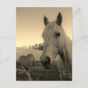Sepia tone Brown Horse & Heart Briefkaart