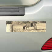 Sepia tone Bruin paard en hek Bumpersticker (Op auto)