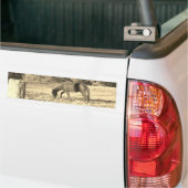 Sepia tone Bruin paard en hek Bumpersticker (Op Truck)