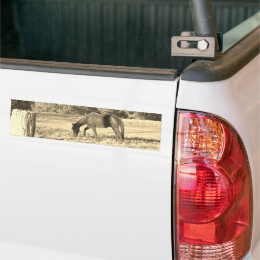 Sepia tone Bruin paard en hek Bumpersticker (Op Truck)