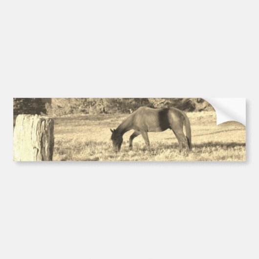 Sepia tone Bruin paard en hek Bumpersticker (Voorkant)
