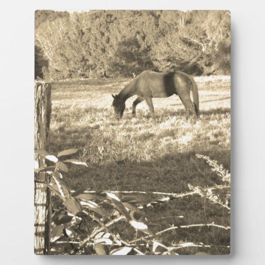 Sepia tone Bruin paard en hek Fotoplaat (Voorkant)