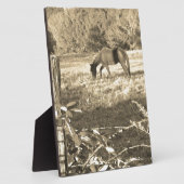 Sepia tone Bruin paard en hek Fotoplaat (Zijkant)
