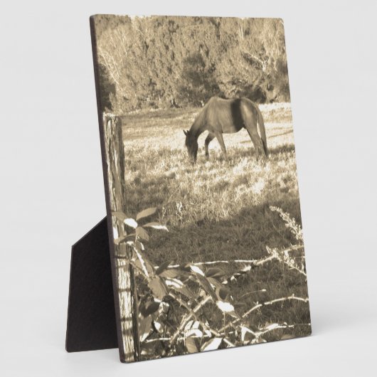 Sepia tone Bruin paard en hek Fotoplaat (Zijkant)