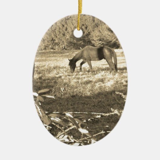 Sepia tone Bruin paard en hek Keramisch Ornament (Voorkant)