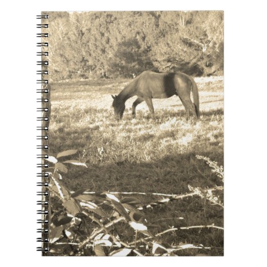 Sepia tone Bruin paard en hek Notitieboek (Voorkant)