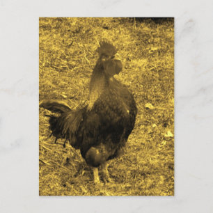 Sepia Tone Crowing Rooster Briefkaart