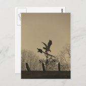 Sepia Tone Eagle Weather vane Briefkaart (Voorkant / Achterkant)