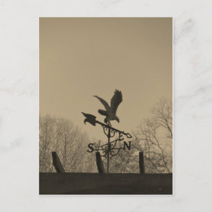 Sepia Tone Eagle Weather vane Briefkaart