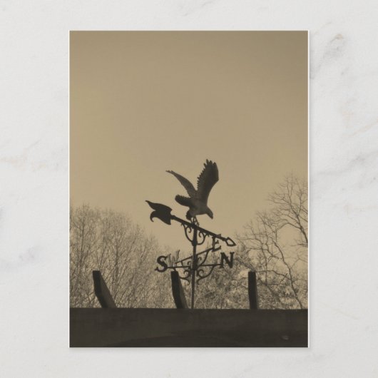 Sepia Tone Eagle Weather vane Briefkaart (Voorkant)