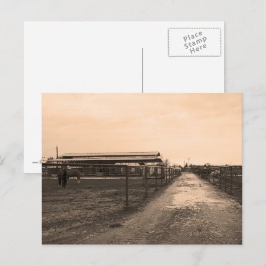 Sepia Tone-foto Briefkaart (Voorkant / Achterkant)