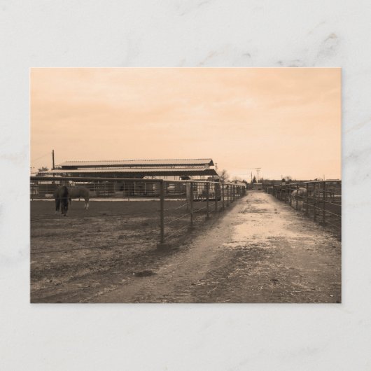 Sepia Tone-foto Briefkaart (Voorkant)