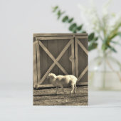 Sepia Tone Goat and Barn Doors Briefkaart (Staand voorkant)