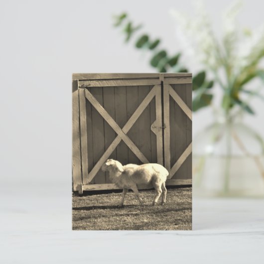 Sepia Tone Goat and Barn Doors Briefkaart (Staand voorkant)