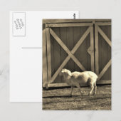 Sepia Tone Goat and Barn Doors Briefkaart (Voorkant / Achterkant)