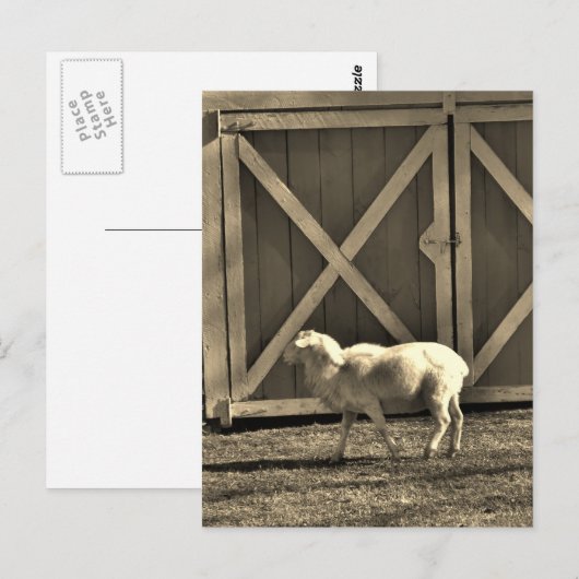 Sepia Tone Goat and Barn Doors Briefkaart (Voorkant / Achterkant)