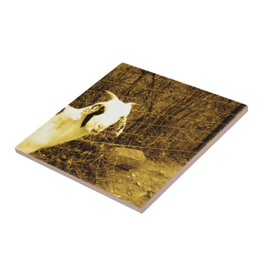 Sepia tone Goat Tegeltje (Zijkant)