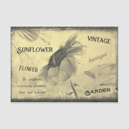 Sepia Tone Sunflower Ephemera Textuur Tissuepapier (Voorkant)