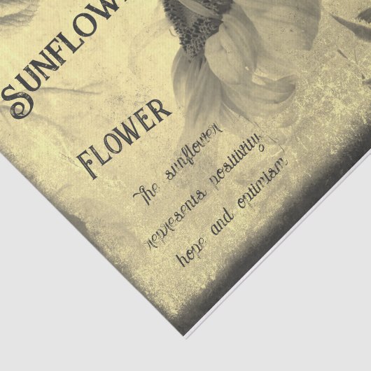 Sepia Tone Sunflower Ephemera Textuur Tissuepapier (Detail)