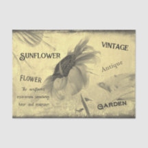  Sepia Tone Sunflower Ephemera Textuur