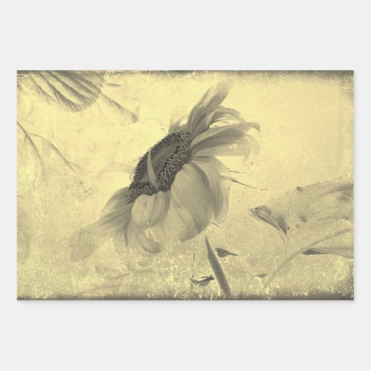  Sepia Tone Sunflower Grunge Textuur Inpakpapier Vel (Voorkant 3)