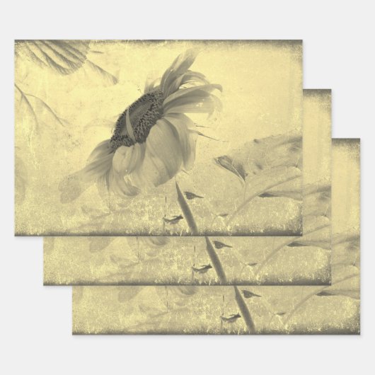  Sepia Tone Sunflower Grunge Textuur Inpakpapier Vel (Set)