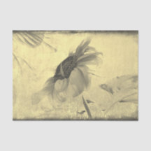  Sepia Tone Sunflower Grunge Textuur