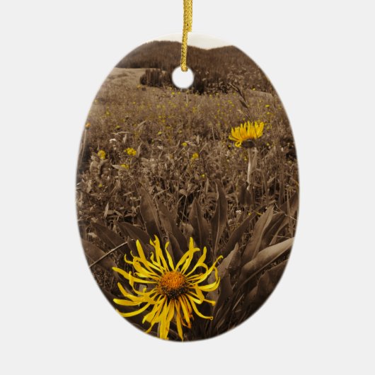 Sepia tone Yellow wildbloemen Keramisch Ornament (Voorkant)