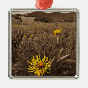 Sepia tone Yellow wildbloemen Metalen Ornament