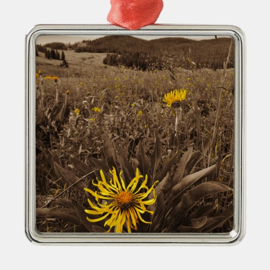 Sepia tone Yellow wildbloemen Metalen Ornament (Voorkant)