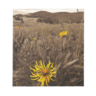 Sepia tone Yellow wildbloemen Notitieblok