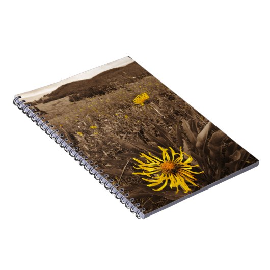 Sepia tone Yellow wildbloemen Notitieboek (Rechterzijde)