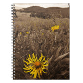 Sepia tone Yellow wildbloemen Notitieboek (Voorkant)