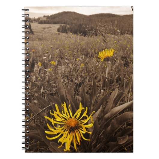 Sepia tone Yellow wildbloemen Notitieboek (Voorkant)